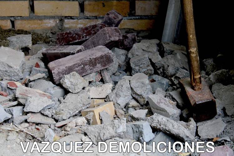 Derribos-Demoliciones interiores Caseres